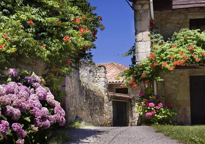 Blühendes Asturien